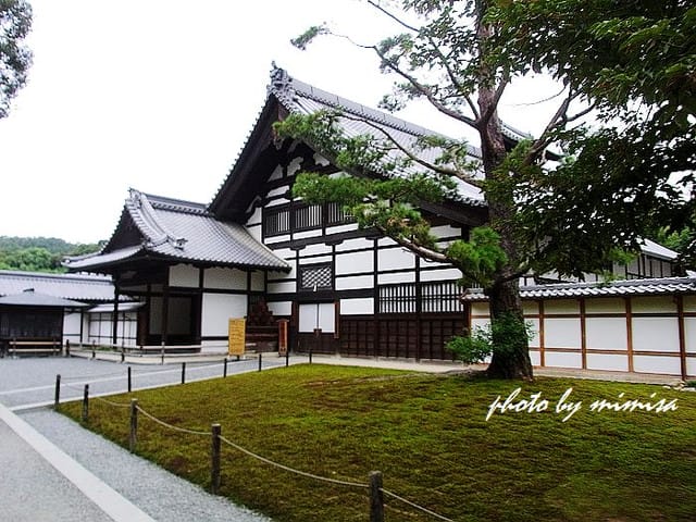 [日本] 關西自由行。Day 3 (上)
