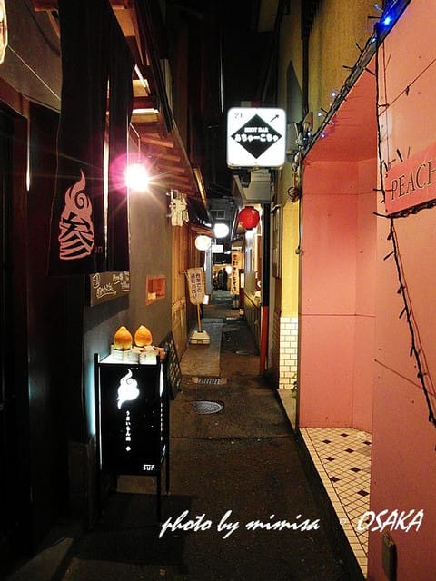 [日本] 關西自由行。Day 3 (下)