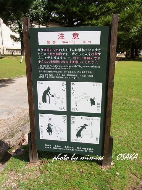 [日本] 關西自由行。DAY 4 (上)