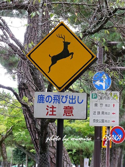 [日本] 關西自由行。DAY 4 (上)