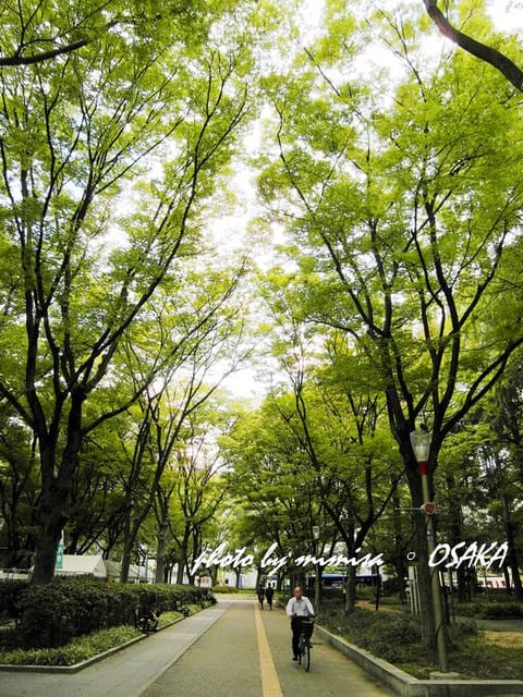 [日本] 關西自由行。DAY 4 (上)