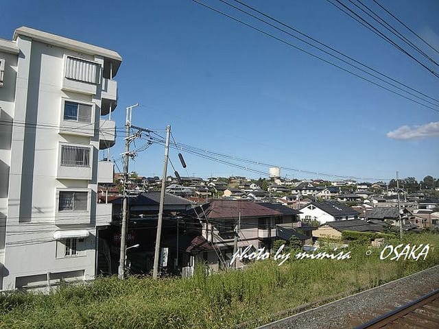 [日本] 關西自由行。DAY 4 (下)