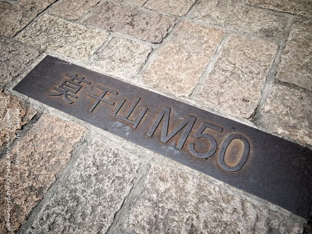 [大陸] 上海&蘇杭瞎買之旅。Day 5 上海莫干山 M50。人文薈萃之地