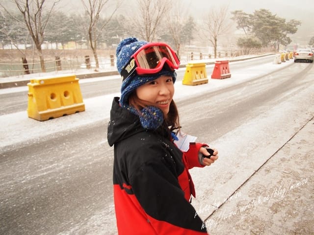 [韓國] 首爾新年寒冬之旅。5天4夜行程規劃大公開!!!