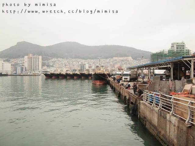 [韓國] 釜山生日之旅。Day2 扎嘎其漁市場。各種新奇海鮮都在這!!