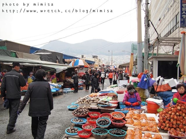 [韓國] 釜山生日之旅。Day2 扎嘎其漁市場。各種新奇海鮮都在這!!