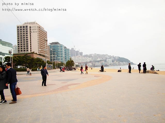 [韓國]釜山生日之旅。Day2 海雲台。來去餵海鷗囉!! (內有餵海鷗小影片)