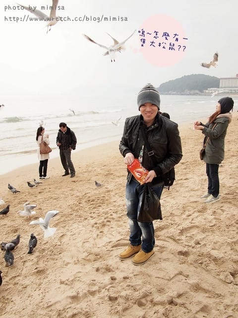 [韓國]釜山生日之旅。Day2 海雲台。來去餵海鷗囉!! (內有餵海鷗小影片)