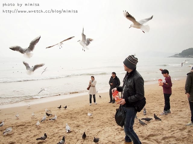 [韓國]釜山生日之旅。Day2 海雲台。來去餵海鷗囉!! (內有餵海鷗小影片)