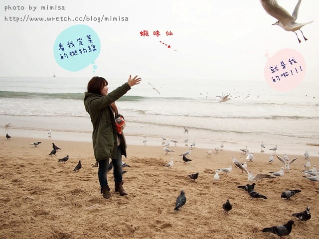 [韓國]釜山生日之旅。Day2 海雲台。來去餵海鷗囉!! (內有餵海鷗小影片)