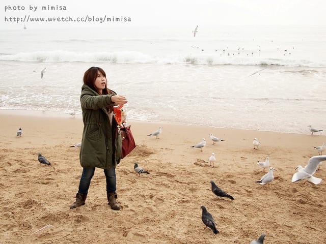 [韓國]釜山生日之旅。Day2 海雲台。來去餵海鷗囉!! (內有餵海鷗小影片)