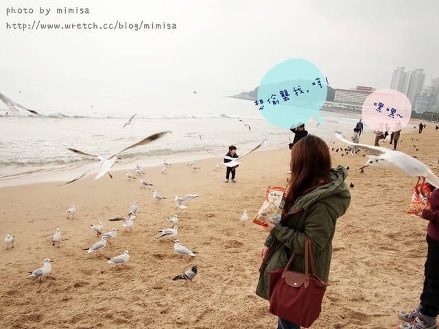 [韓國]釜山生日之旅。Day2 海雲台。來去餵海鷗囉!! (內有餵海鷗小影片)