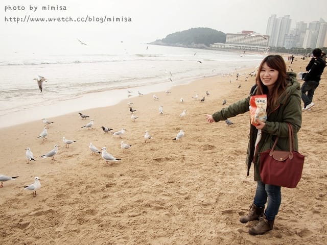 [韓國]釜山生日之旅。Day2 海雲台。來去餵海鷗囉!! (內有餵海鷗小影片)
