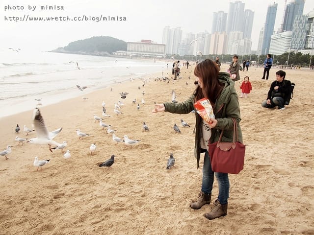 [韓國]釜山生日之旅。Day2 海雲台。來去餵海鷗囉!! (內有餵海鷗小影片)