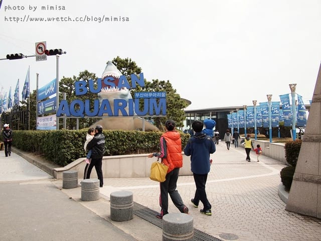 [韓國]釜山生日之旅。Day2 海雲台。來去餵海鷗囉!! (內有餵海鷗小影片)