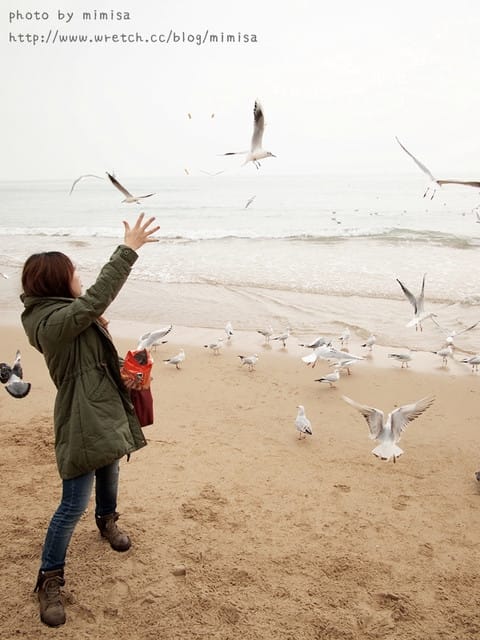 [韓國]釜山生日之旅。Day2 海雲台。來去餵海鷗囉!! (內有餵海鷗小影片)