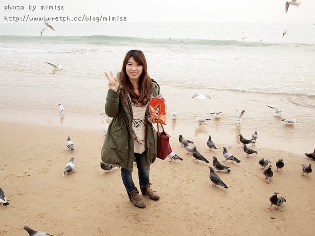 [韓國]釜山生日之旅。Day2 海雲台。來去餵海鷗囉!! (內有餵海鷗小影片)
