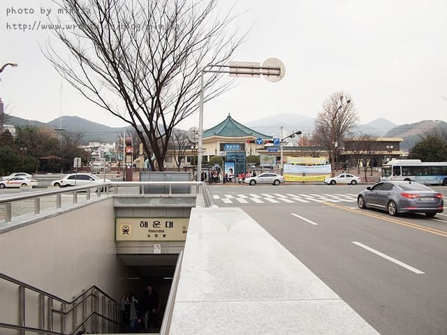 [韓國]釜山生日之旅。Day2 海雲台。來去餵海鷗囉!! (內有餵海鷗小影片)