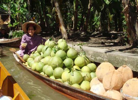 [泰國] 曼谷泰享受之旅。行前規劃–local tour/SPA/火車票通通先booking啦!!!