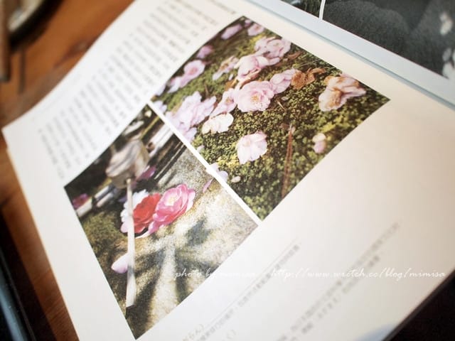 [分享] 京都漫步中。花與咖啡的小旅行 讀後小分享