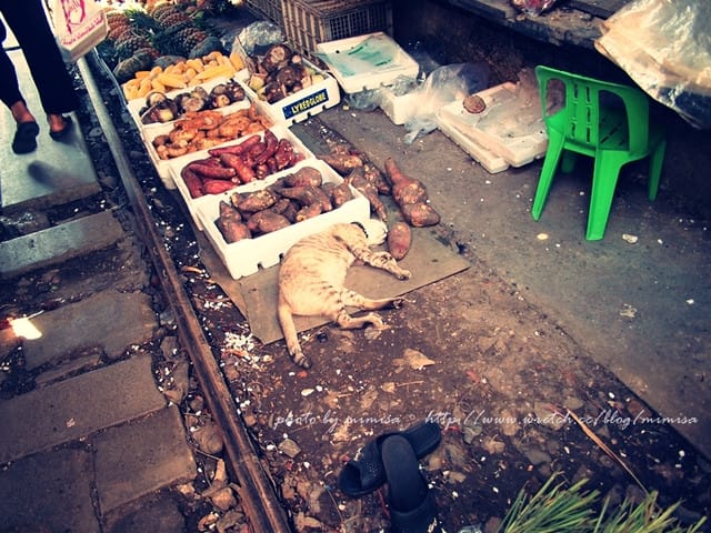 [泰國] 曼谷華欣泰享受之旅。等了許久只為一輛火車的美功鐵道市場Maeklong Railway Market