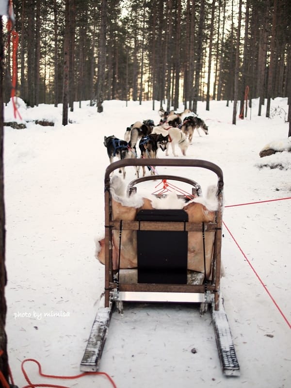 聖誕老人村 (23).JPG 聖誕老人村 (23).JPG