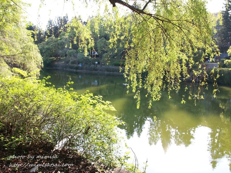 [分享] 美不勝收的中華大學小郊遊。春季賞花趣