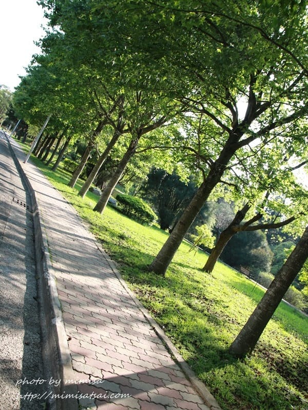 [分享] 美不勝收的中華大學小郊遊。春季賞花趣