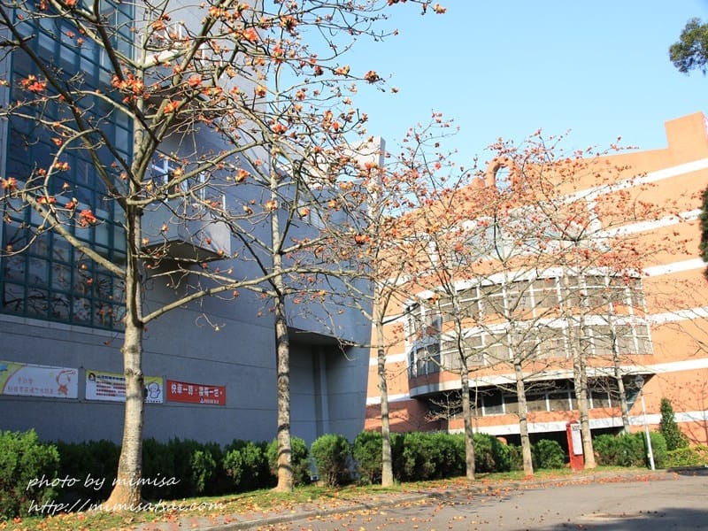 [分享] 美不勝收的中華大學小郊遊。春季賞花趣