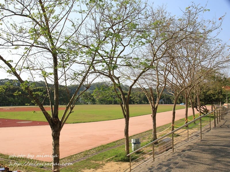 [分享] 美不勝收的中華大學小郊遊。春季賞花趣
