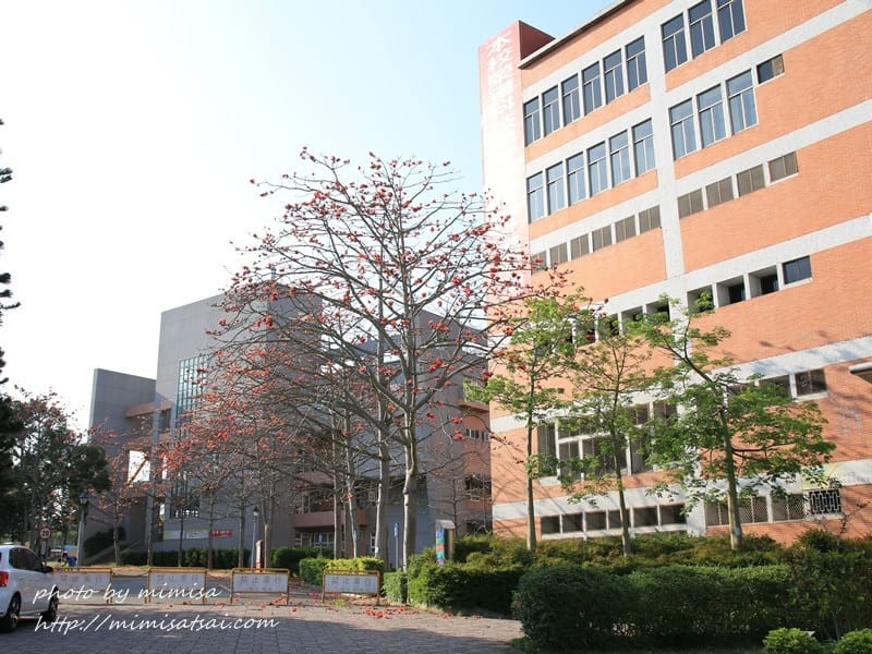 [分享] 美不勝收的中華大學小郊遊。春季賞花趣