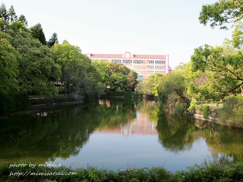 [分享] 美不勝收的中華大學小郊遊。春季賞花趣