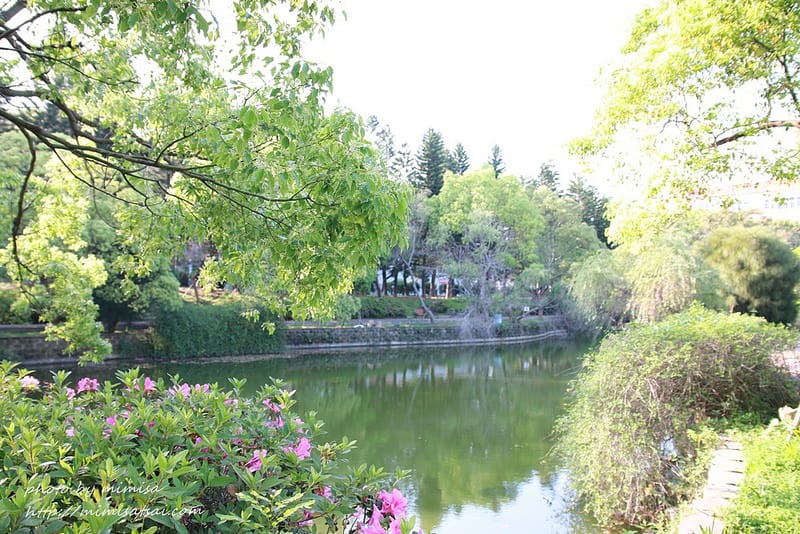 [分享] 美不勝收的中華大學小郊遊。春季賞花趣