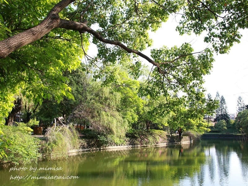 [分享] 美不勝收的中華大學小郊遊。春季賞花趣