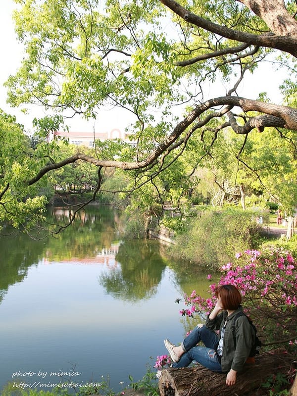 [分享] 美不勝收的中華大學小郊遊。春季賞花趣