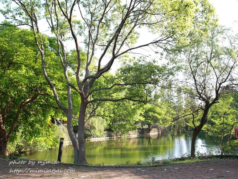 [分享] 美不勝收的中華大學小郊遊。春季賞花趣