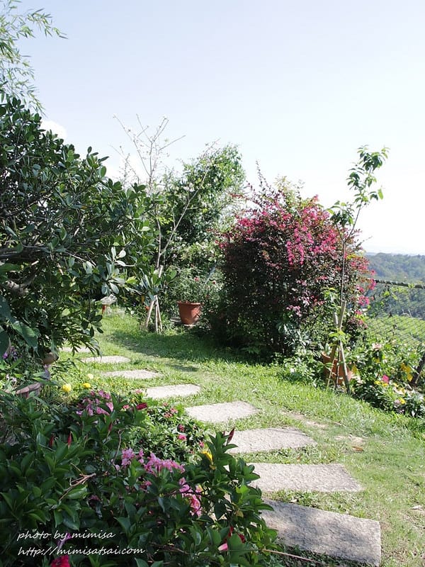 [分享] 美不勝收的中華大學小郊遊。春季賞花趣