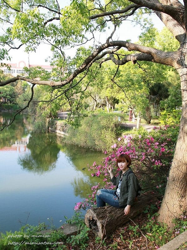 [分享] 美不勝收的中華大學小郊遊。春季賞花趣