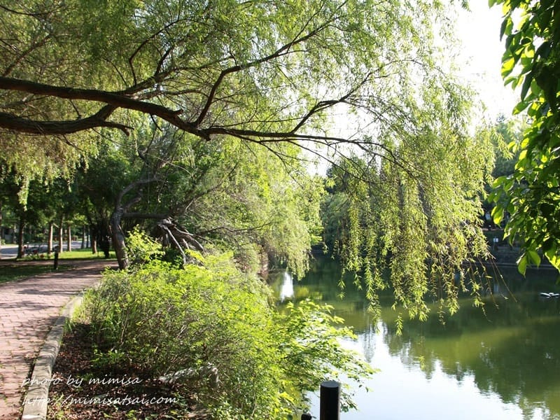 [分享] 美不勝收的中華大學小郊遊。春季賞花趣