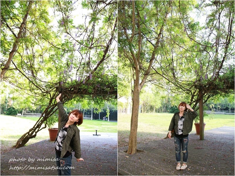 [分享] 美不勝收的中華大學小郊遊。春季賞花趣