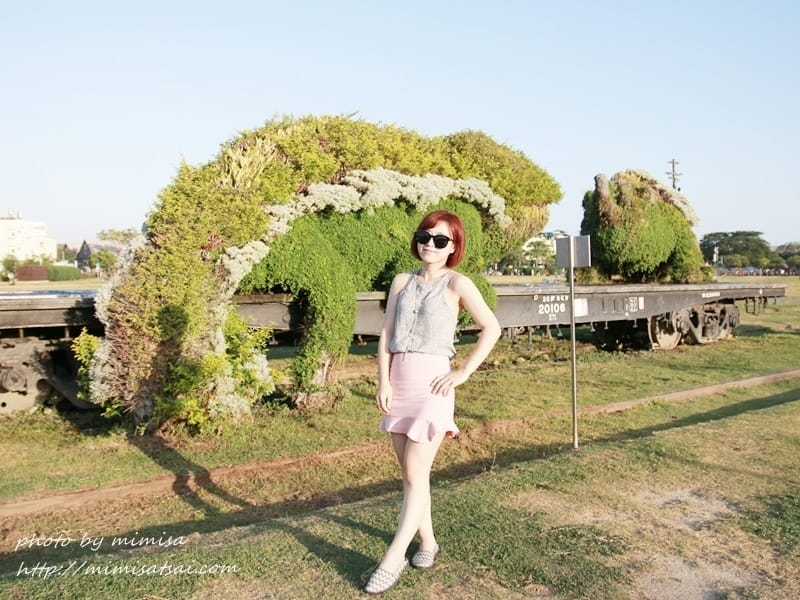 [瘦身] 運動一年紀念特輯!!!繼大腿有感瘦身後,手臂也來了