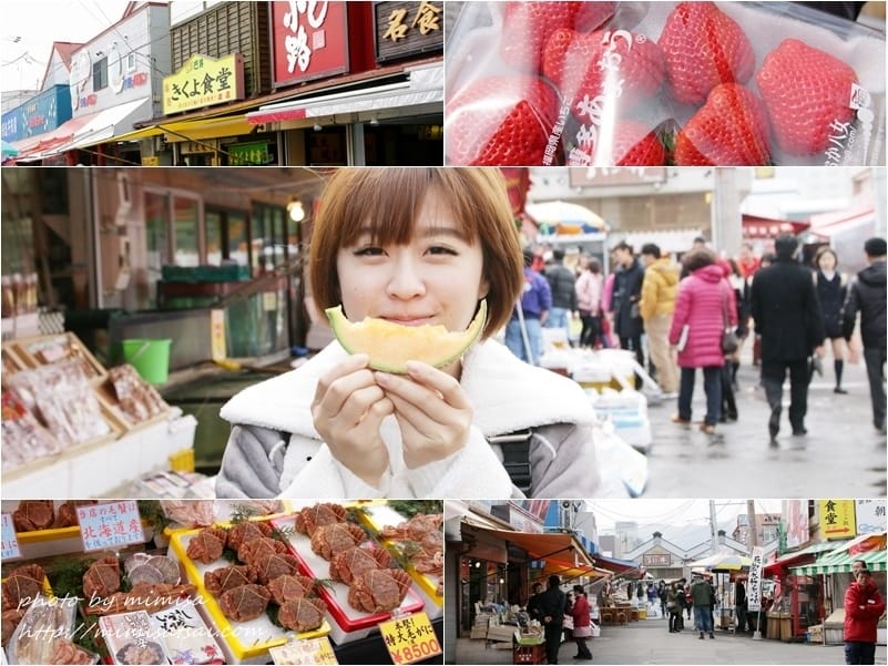 [日本] 北海道函館朝市、五稜郭公園