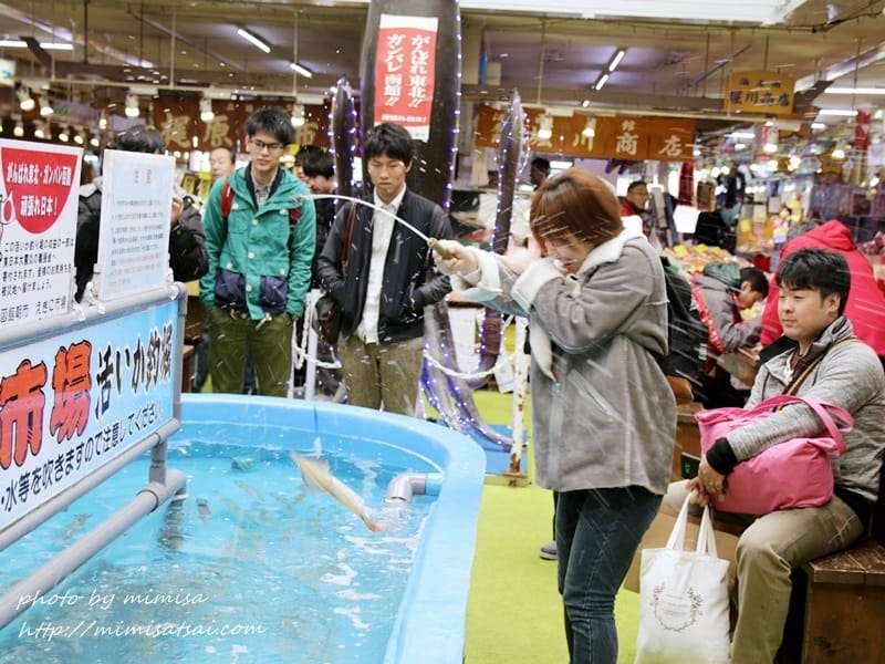 [日本] 北海道函館朝市、五稜郭公園