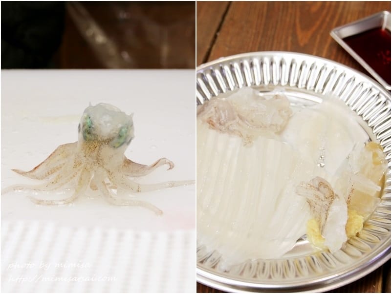 [日本] 北海道函館朝市、五稜郭公園