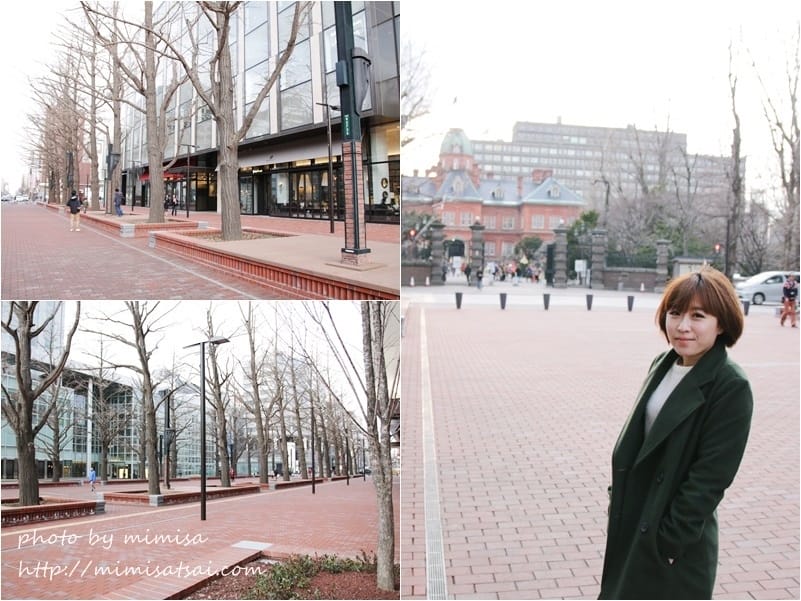 [日本] 北海道輕鬆自駕遊。北海道札幌Bic Camera、Hiri Hiri湯咖哩、札幌啤酒園及成吉思汗蒙古烤肉