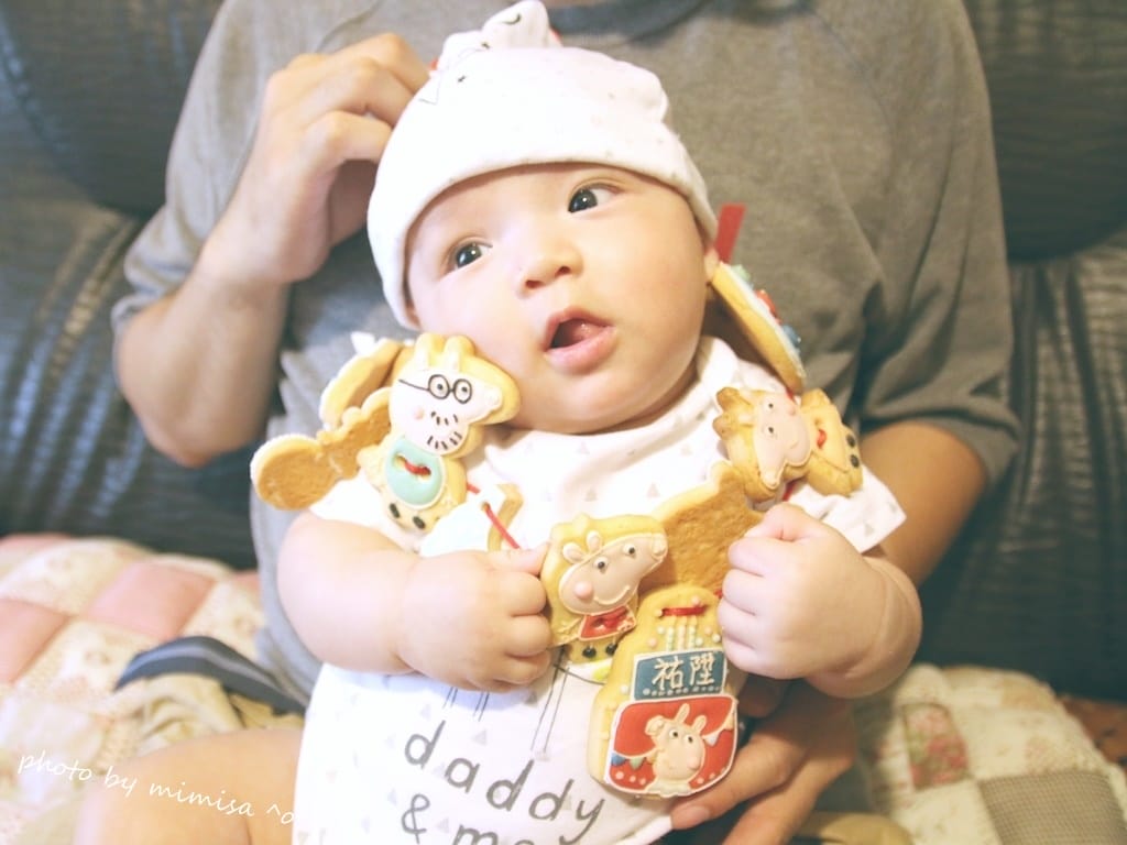 [BABY] 賴虎底迪滿4個月來收涎趴囉!!!日光和煦收涎/生日/婚禮餅乾