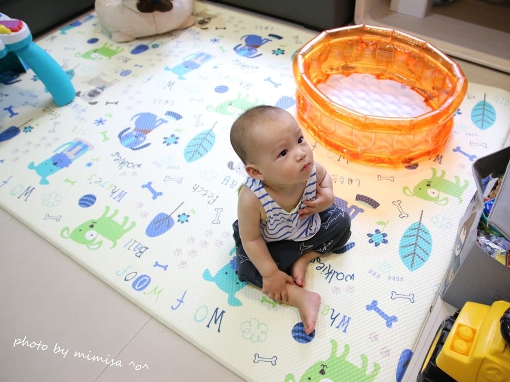 [BABY] 韓國BAMATE頑皮狗狗遊戲地墊。讓Huhu最愛賴在地上玩耍的好夥伴!!!