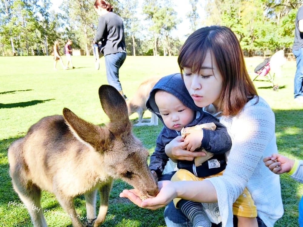 [眉毛] 新竹Ginny Studio 半永久眉毛 霧眉。我終於天天都有彩妝師幫我畫的眉毛了!!!