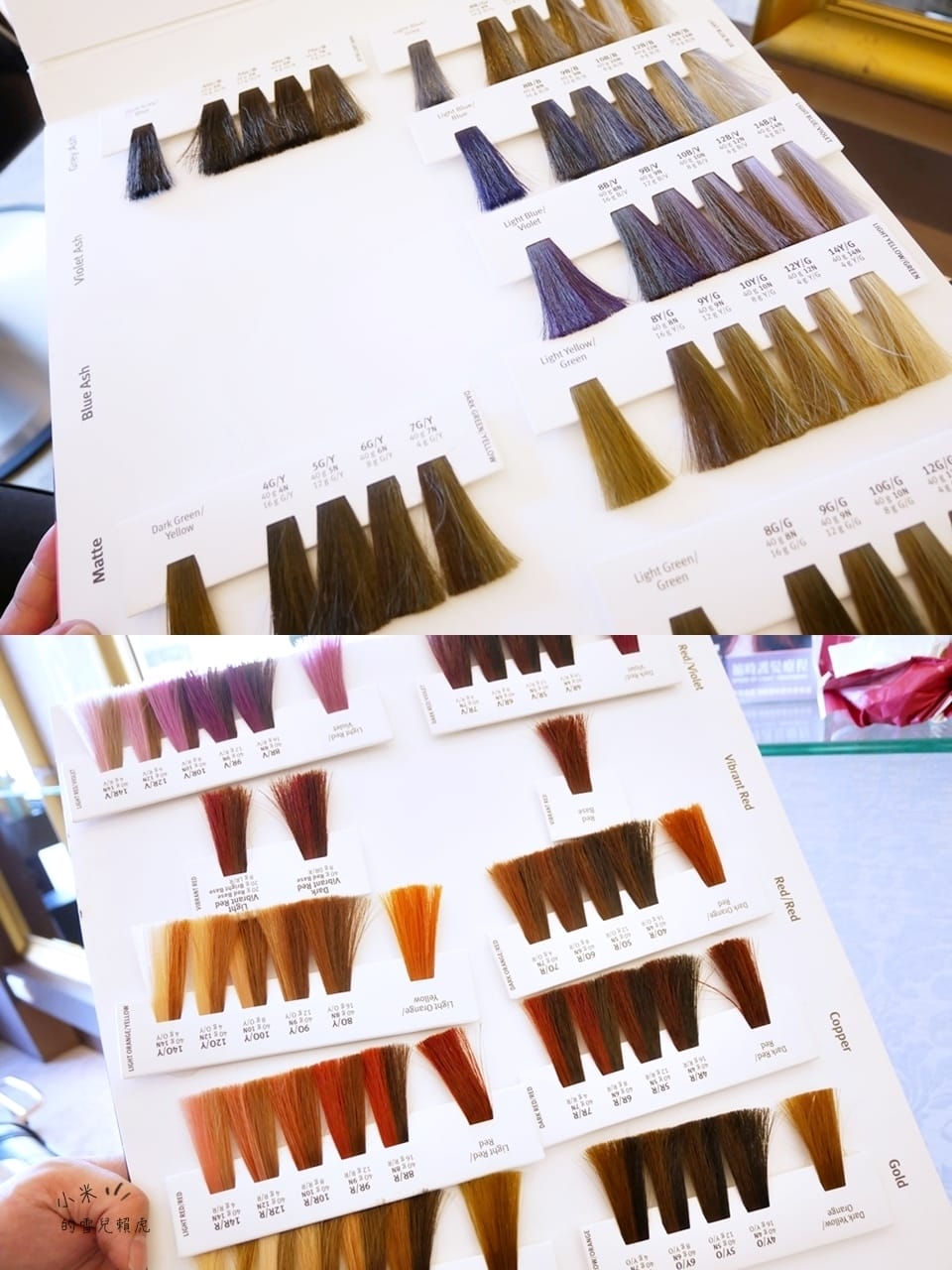 新竹卡帕 (14).jpg 新竹卡帕 (14).jpg