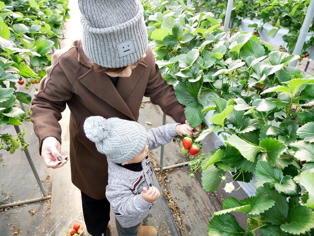 奧丁丁在地體驗 (17).JPG 奧丁丁在地體驗 (17).JPG